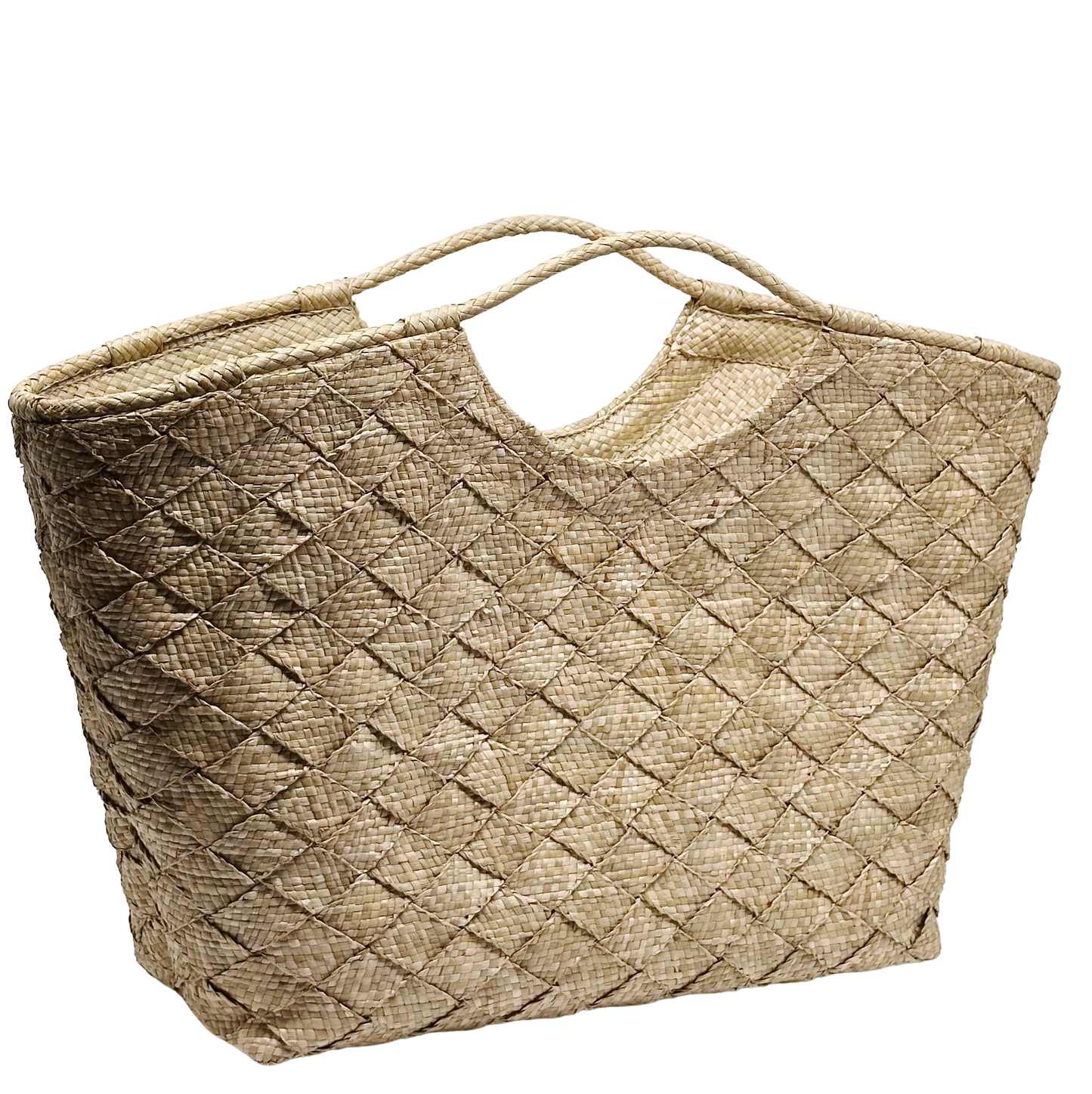 Suli Bayan Chic-to-Beach Large Tote