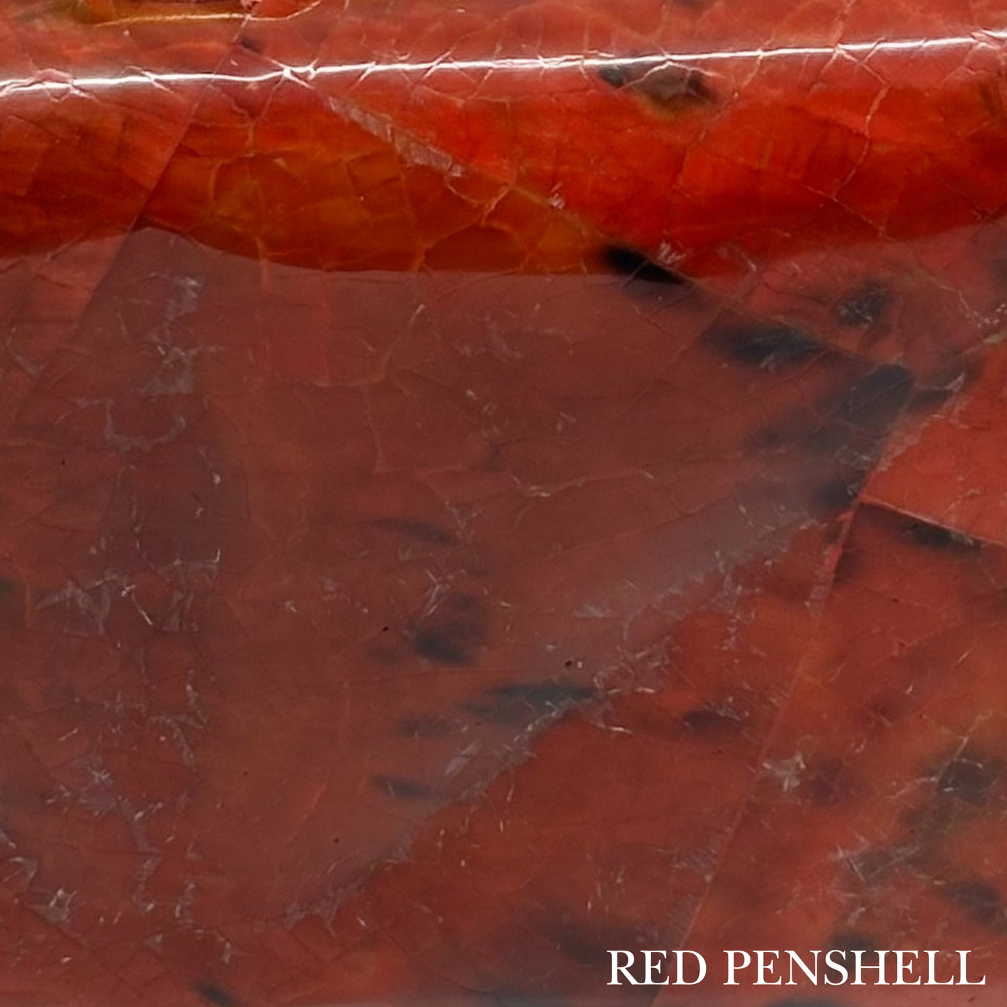 Red Penshell mother of pearl shell finish